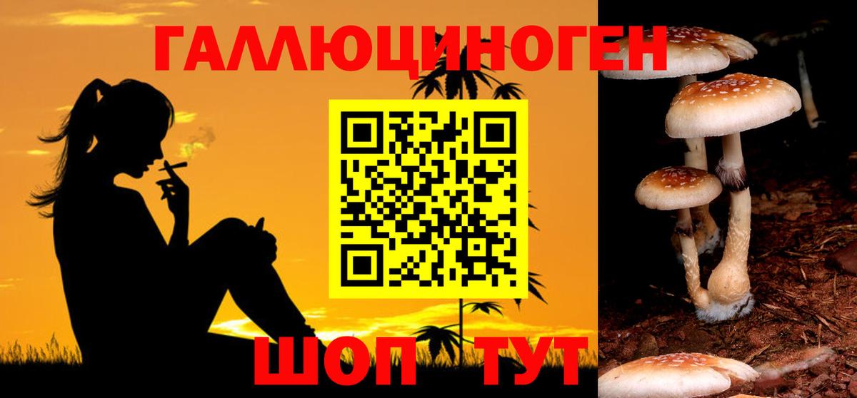 Черняховск  где продают   Вход с VPN  Галлюциногенные грибы ЛСД 